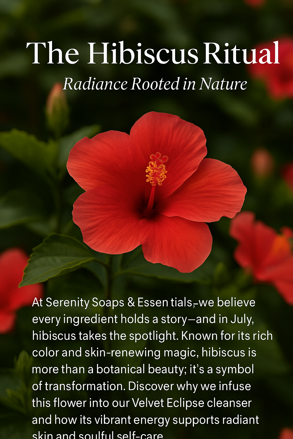 🌺 The Hibiscus Ritual: Radiance Rooted in Nature