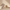 Java Jolt Under Eye Cream